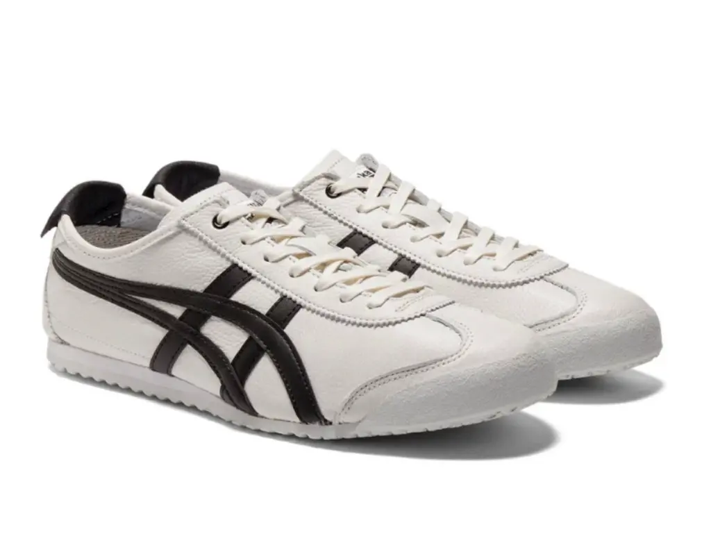 WhatsApp Image 2025-09-29 at 7.00.26 PM (2).webp