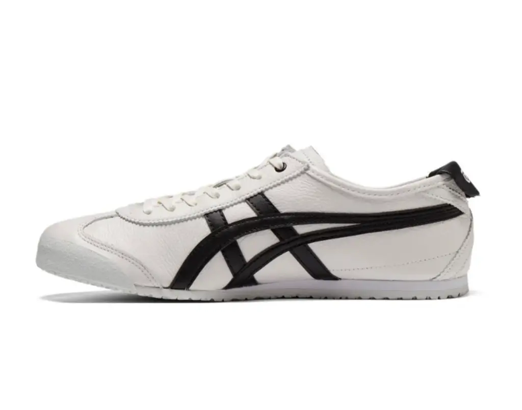 WhatsApp Image 2025-09-29 at 7.00.26 PM (1).webp